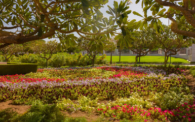 Muscat town garden landscape, Oman