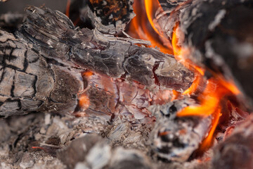 burning coals of a campfire