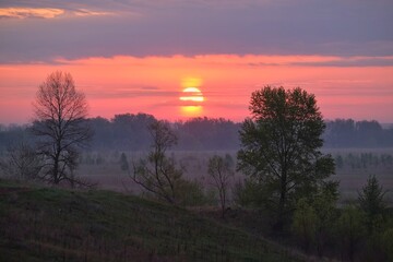 Fototapeta na wymiar sunrise over the meadow