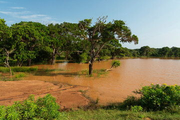 Yala National Park lake landscape, Sri Lanka