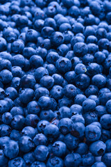 Fresh blueberry background. Texture blueberry berries close up.