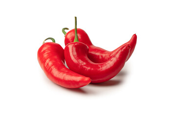 Red hot chili pepper isolated on a white background.