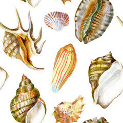 Watercolor illustration, pattern. Shells. Background, pattern. Summer sea image.