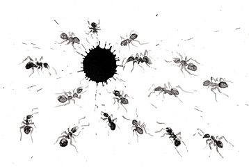 Abstract ink blot with a lot of ants around it. Isolated on white. Hand drawn china ink on paper textures. Inkdrawn collection. Raster bitmap imagen. Raster bitmap image