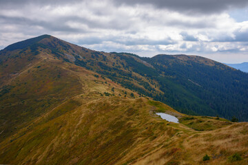 Fototapeta premium mountain landscape on a cloudy autumn day. peak in the distance. grassy meadows and forested hills