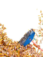 Pile of fall leaves with fan rake isolated on transparent background. View from above. Copy space