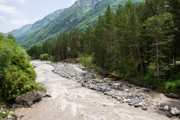 Fototapeta na wymiar Baksan mountain river with fast current and rocky shores among green trees and slopes of high mountains in the Elbrus region in Kabardino-Balkaria on a clear sunny summer day