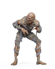 mummy is walking and looking for food in white background