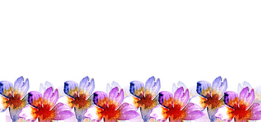 Banner con fiori  viola e lilla in primo piano, illustrazione isolata su sfondo bianco