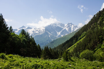 Fototapeta na wymiar Beautiful mountain landscape - snow-capped peaks with glaciers and green slopes with trees on a sunny summer day in the Elbrus region in the North Caucasus in Russia