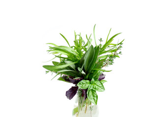 Fresh spicy aromatic herbs in a transparent glass beaker with water. Basil, sage, thyme, tarragon on a white background.