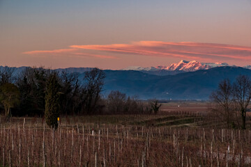 Fototapeta premium Winter sunset in the vineyards of Collio Friulano