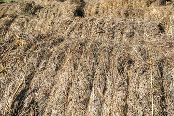  Hooibalen || Hay bales