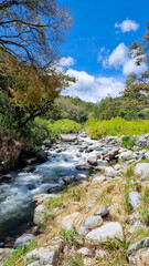Panama, Chiriqui province headwaters of the Caldera creek