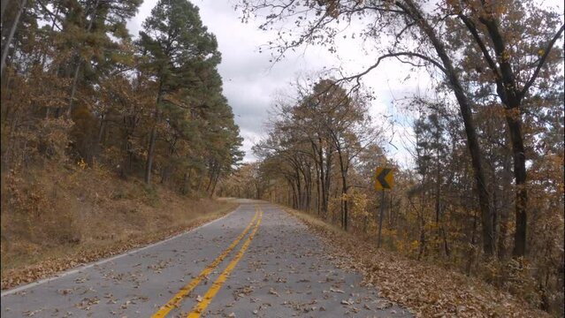 Fall rural drive though countryside as Autumn colors as leaves drop and fall from the mountain forest trees 