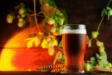 A glass of cold light beer in drops of water and green cones of hops. Wooden background....