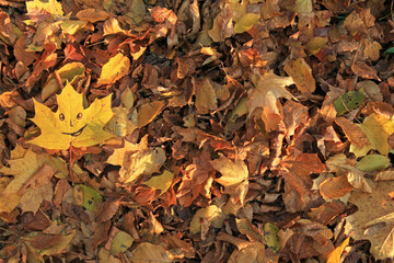 Golden autumn time. Single maple leaf with cheerful painted smile is lying in a pile of yellow foliage in a city forest park. Fallen leaves in old town during falltime. Autumn season concept
