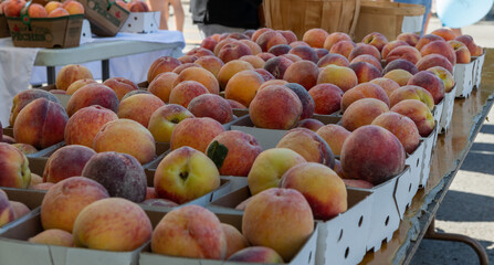 peaches at the market