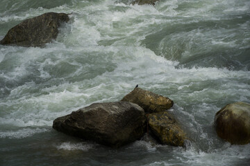 Raging flow of roaring Thamsa river inside and along the way to the har ki dun valley in...