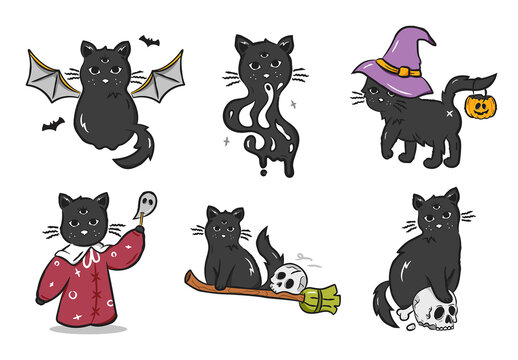 Black Cats in Halloween Outfits