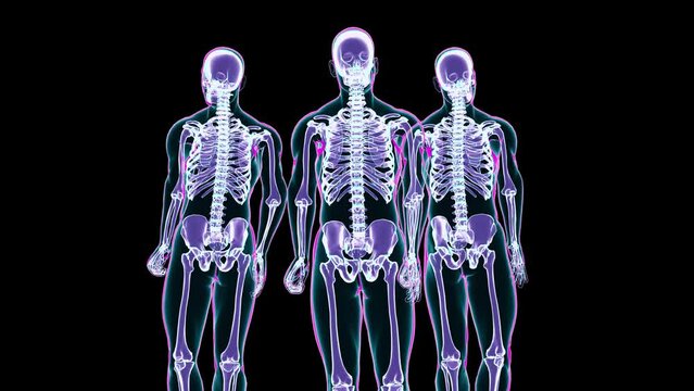Three skeletons standing and moving normally isolated on black background, scan, 3d render