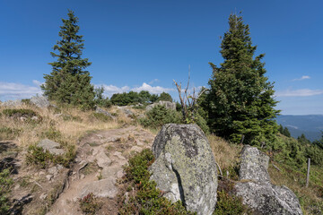 hiking trail in the vosges mountains