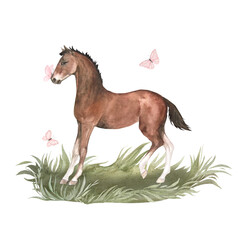 Watercolor illustration of bay foal standing in green grass with pink butterfly