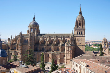 Fototapeta na wymiar Salamanca, Spain - June, 28, 2022, Panoramic view of the cathedral of Salamanca, Castilla y León, Spain, on the Ieronimus excursion.