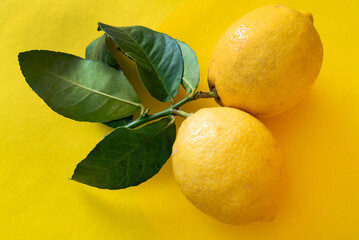Fresh ripe lemons with leaves on the yellow background