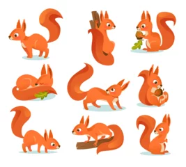 Fotobehang Funny red squirrels character set. Collection of cute animal illustrations. Sleeping squirrel, on a branch, with an acorn, holding a nut, with a puffy tail. Cartoon style vector illustration. © Microstocker.Pro
