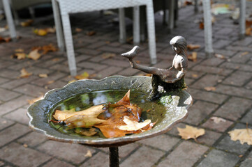 herbstliche gartenwirtschaft