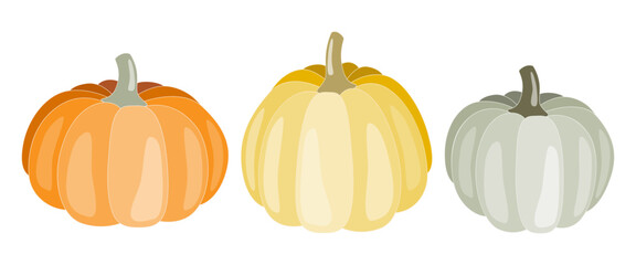 Pumpkins clip art elements. Isolated on white background. Fall, Autumn design for cards, invitations. Design decoration for Thanksgiving, Halloween, harvest season, scrapbooking and home decor.