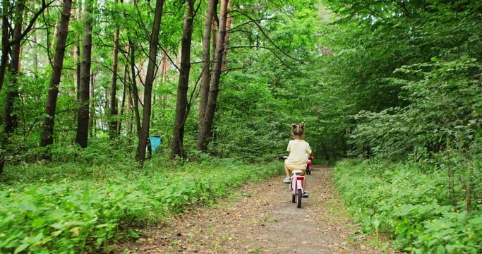 little girl rides a bike in the forest on a beautiful summer day