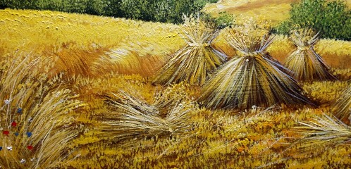 Oil paintings rural landscape, golden wheat field, fine art. Artwork,  wheat in the field