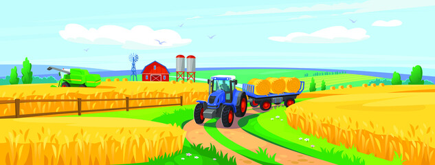 Background of a wheat field with a tractor, harvester, silos and a barn. Crop harvest season on a farm. Eco food industry and agriculture. Cartoon style vector illustration.