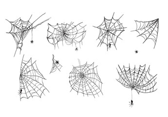 Spider Web Illustrations