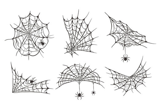 Spider Webs Webbed Corner Illustrations