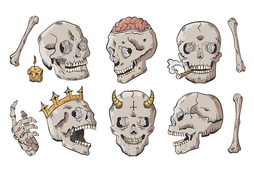 Skull Skeleton Illustrations