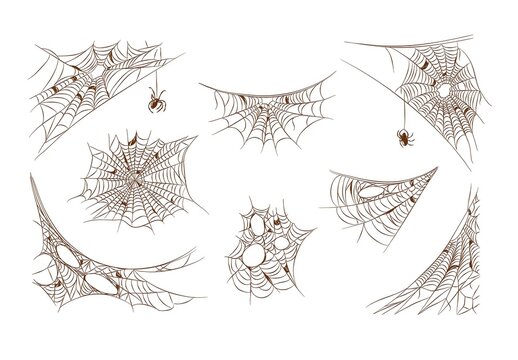 Spooky Spider Web Illustrations