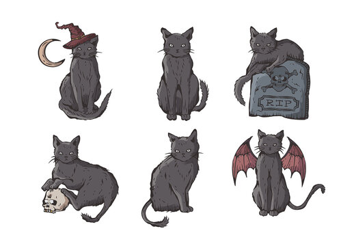Black Cat Illustrations for Halloween