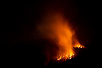 Fototapeta na wymiar Forest wildfire at night a natural disaster
