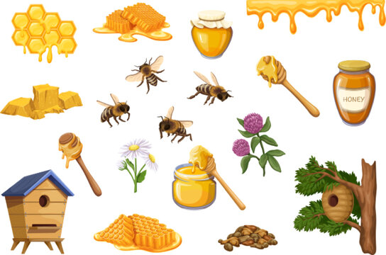 Bee honey set vector illustration. Cartoon honeycomb and honeybee insects, isolated wooden house and hive on tree, glass jar with yellow nectar and spoon, liquid drops flow and melt on border