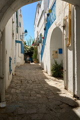 Beauty of Sidi Bou Said