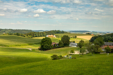 Fototapeta na wymiar Verdant Valley in the Austrian Agricultural District