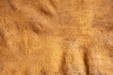 Fototapeta na wymiar Blank leather skin parchment texture bg