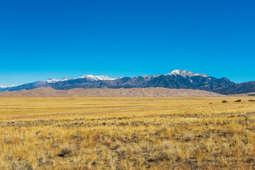 Great Sand Dunes National Park and Preserve
