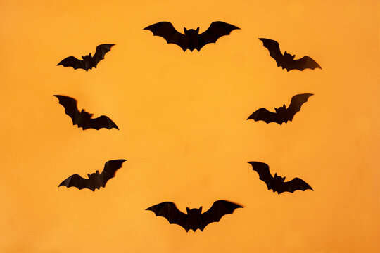 Bats making a circle against orange background. Minimal horror concept for Halloween celebration banner. Artistic design for party invitation or advertisement. Copy space