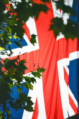 Hanging large backlit Union Flag framed by trees at night 