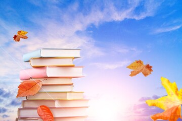 Big set of books on sky background. Concept of education and reading.