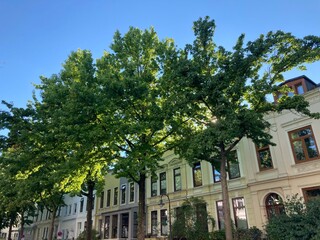Altbaufassaden im grünen Ostertorviertel in Bremen, Altbremer Häuser	